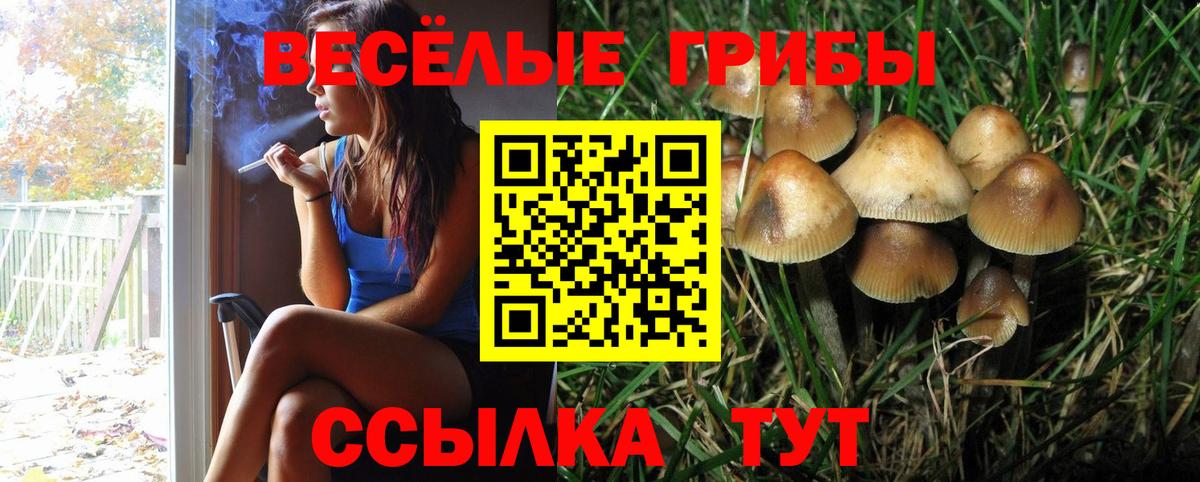 Галлюциногенные грибы ЛСД Северск